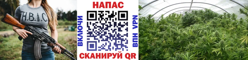 Амфетамин Белокуриха