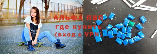 гидра Яровое