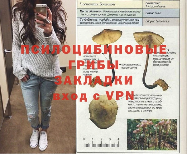 гидра Яровое