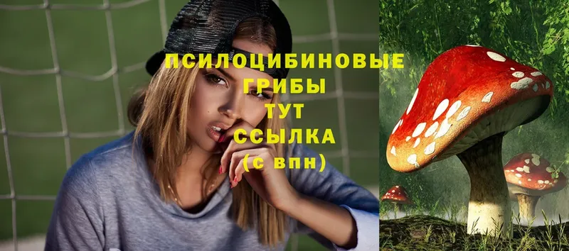 Галлюциногенные грибы Magic Shrooms  Белокуриха 