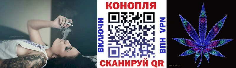 Бошки марихуана Amnesia  Белокуриха 